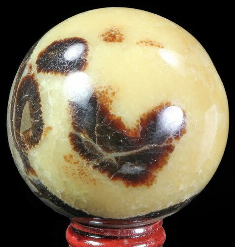 Polished Septarian Sphere - Madagascar #67866